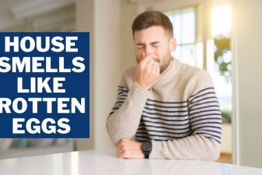 House Smells Like Rotten Eggs | Why & How to Get Rid of