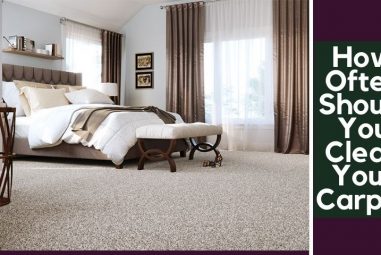 How Often Should You Clean Your Carpet | Know in Details