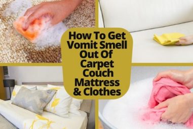 How To Get Vomit Smell Out Of Carpet, Couch, Mattress & Clothes