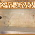 How to Remove Mold from Shower Curtain | Here is the Solution