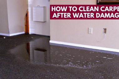 How to Clean Carpet After Water Damage | Lasting Solutions