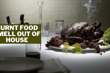 How to Get Burnt Food Smell Out of House | With Easy Solutions