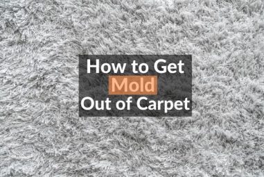 How to Get Mold Out of Carpet | Easily & Naturally