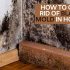 How To Get Vomit Smell Out Of Carpet, Couch, Mattress & Clothes