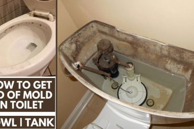 How to Get Rid of Mold in Toilet | Causes & Solutions