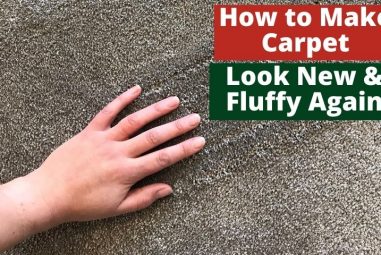 How to Make Carpet Look New and Fluffy Again | Simple Guides