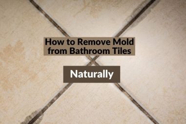 How to Remove Mold from Bathroom Tiles Naturally