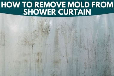 How to Remove Mold from Shower Curtain | Here is the Solution