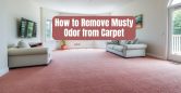 How to Remove Musty Odor from Carpet | 7 Effective Methods
