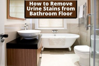 How to Remove Urine Stains from Bathroom Floor | Step by Step