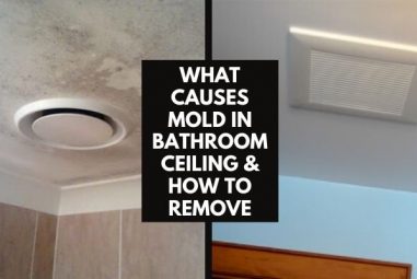 What Causes Mold in Bathroom Ceiling & How to Remove
