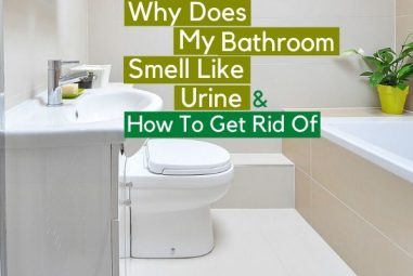 Why Does My Bathroom Smell Like Urine & How to Get Rid of