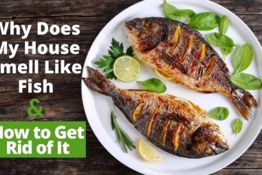 Why Does My House Smell Like Fish & How to Get Rid of It