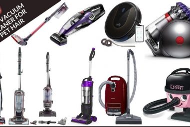 The 10 Best Vacuum Cleaners for Pet Hair to Buy in 2023