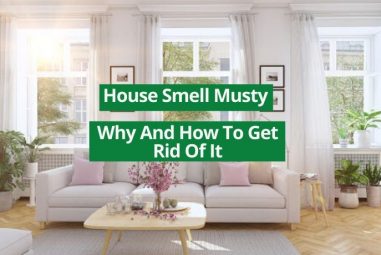 House Smell Musty | Why And How To Get Rid Of It