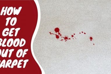 How to Get Blood Out of Carpet | 17 Powerful Hacks