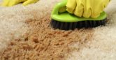 How to Remove Orange Juice Stains from Carpets | Quick & Effective Methods