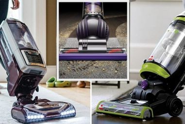 How to Clean a Vacuum Filter | Shark Dyson & Bissell