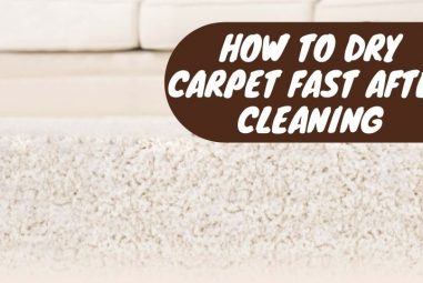How To Dry Carpet Fast After Cleaning | Get Prompt Results