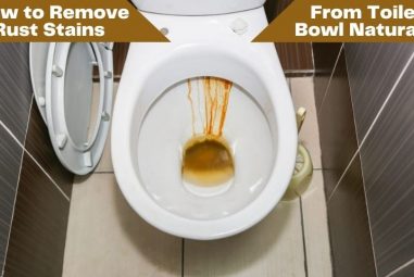 How to Remove Rust Stains from Toilet Bowl Naturally