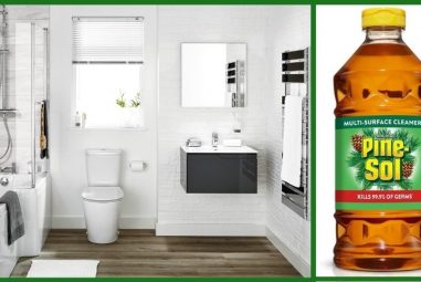 How to Use Pine-Sol to Clean Bathroom | Everything in Details