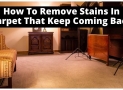 5 Steps To Remove Stains In Carpet That Keep Coming Back