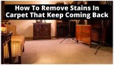 5 Steps To Remove Stains In Carpet That Keep Coming Back