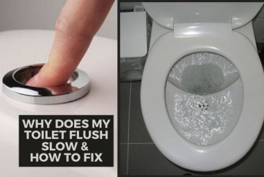 Why Does My Toilet Flush Slow & Incompletely | How to Fix